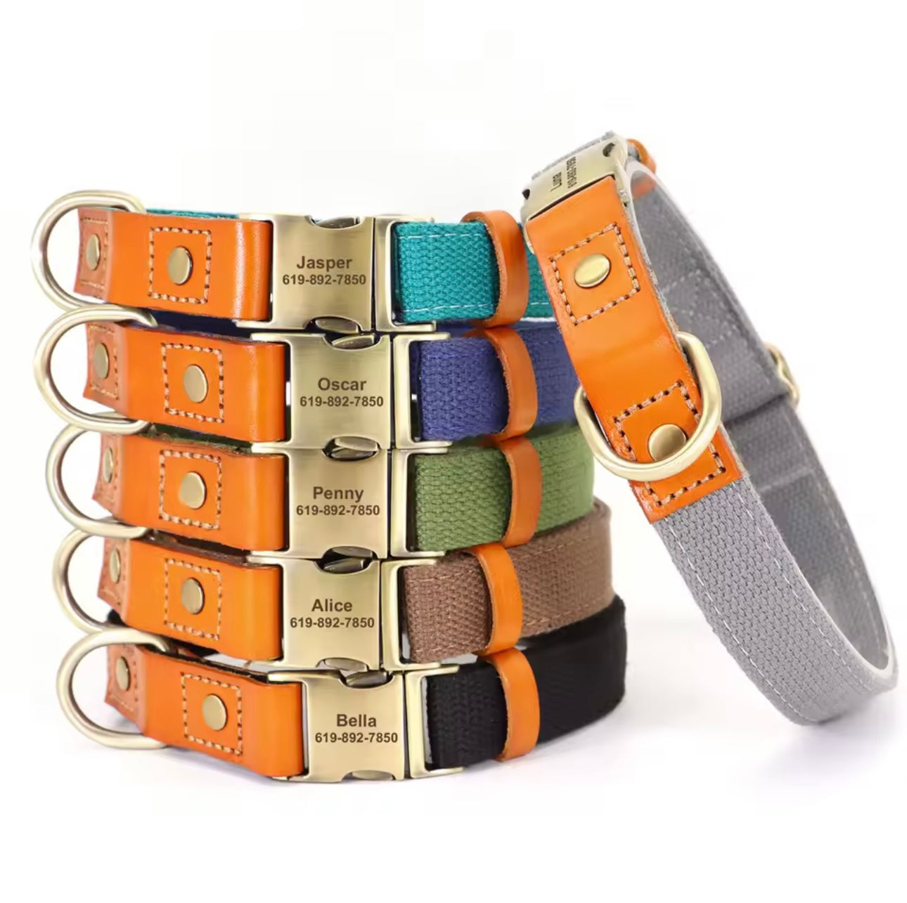 Personalisiertes Hundehalsband "Amsterdam"