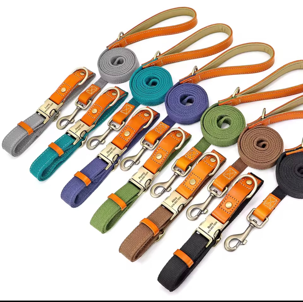 Personalisiertes Hundehalsband "Amsterdam"