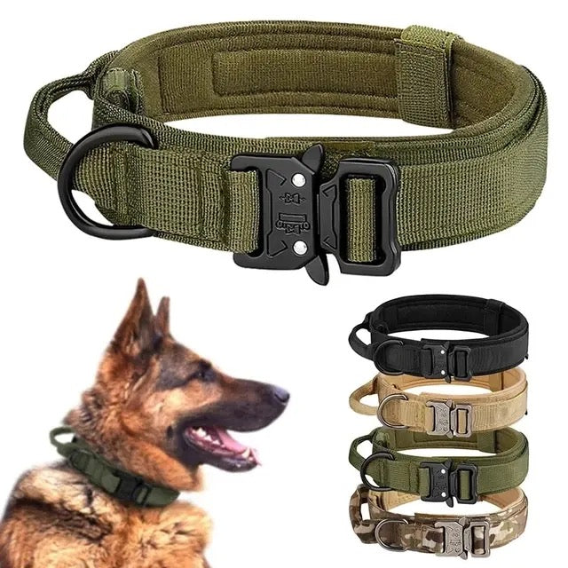 Taktisches Halsband Army