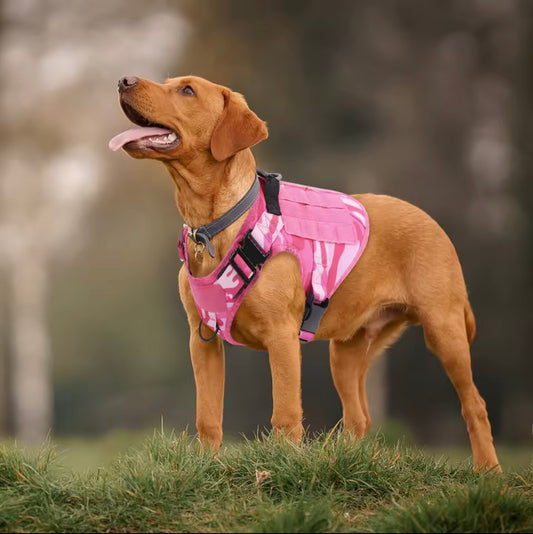 Taktisches Geschirr "Military rose" inkl. Leine