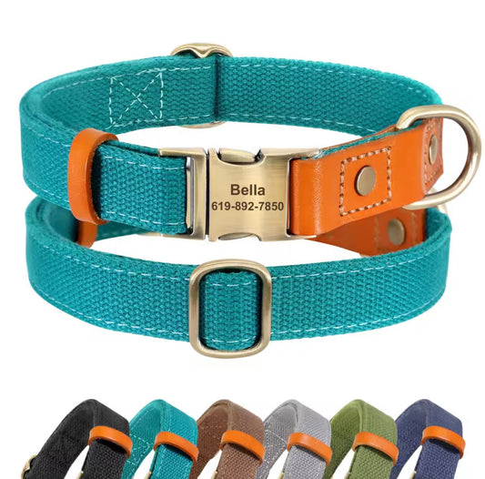 Personalisiertes Hundehalsband "Amsterdam"