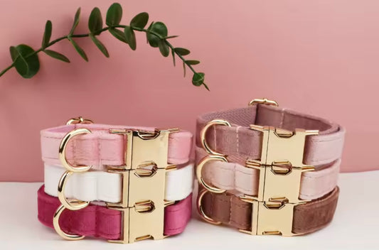 Halsband "Samti" mit gratis Gravur